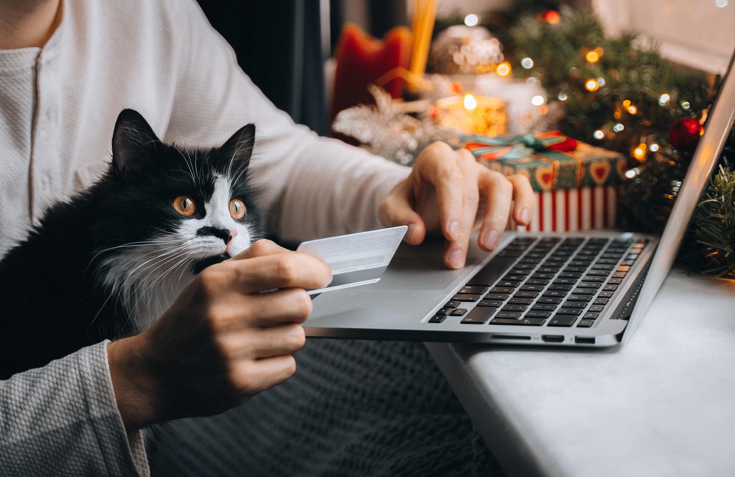 Protect Yourself While Online Shopping This Holiday Season